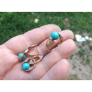 Гарнитур Серебряное Кольцо 15076 / Серебряные Серьги 25076