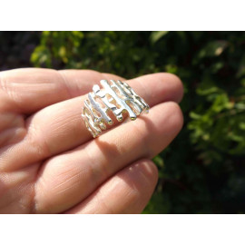 Серебряное Кольцо 10024