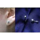 Серебряные Серьги 20256