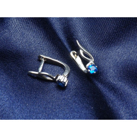 Серебряные Серьги 20089