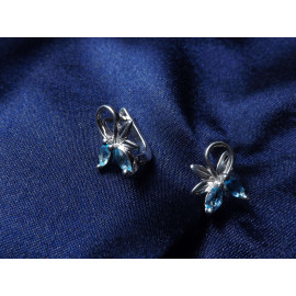 Серебряные Серьги 20091