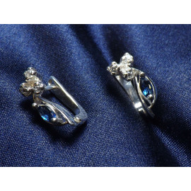 Серебряные Серьги 20099