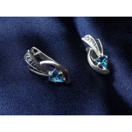 Серебряные Серьги 20295