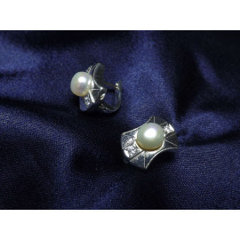 Серебряные Серьги 20406